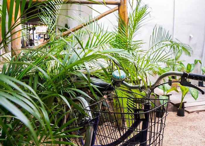 Oostel Smart Hostel - Tulum Playa